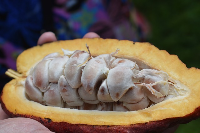 Cara Membuat Ice Cream Coklat Di Rumah Yang Praktis Tapi Enak